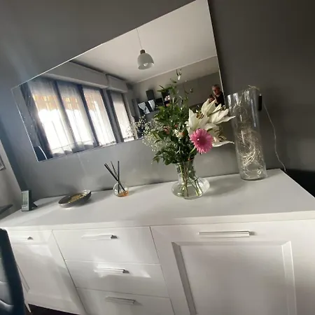 아파트 Inalpi Arena,stadio Olimpico E Palazzo Del Nuoto Parcheggio Riservato Interno Cortile 10 Minuti Dal Centro *