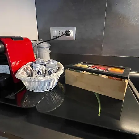 아파트 Inalpi Arena,stadio Olimpico E Palazzo Del Nuoto Parcheggio Riservato Interno Cortile 10 Minuti Dal Centro