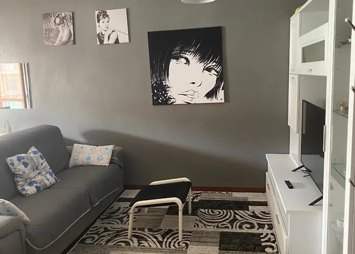 Appartement Inalpi Arena,stadio Olimpico E Palazzo Del Nuoto Parcheggio Riservato Interno Cortile 10 Minuti Dal Centro *