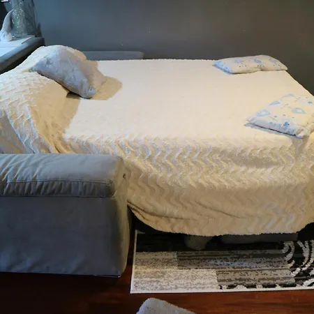 Inalpi Arena,stadio Olimpico E Palazzo Del Nuoto Parcheggio Riservato Interno Cortile 10 Minuti Dal Centro טורינו